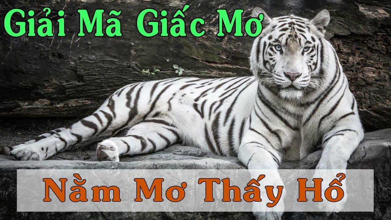mcw858 nổ hũ là game gì