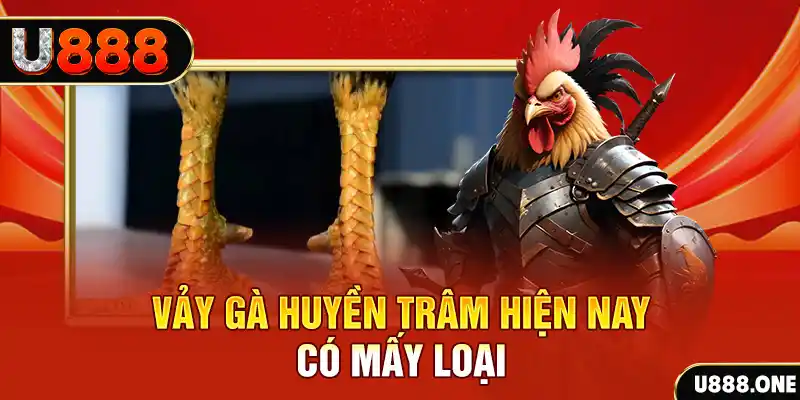 mcw858 xổ số bình định