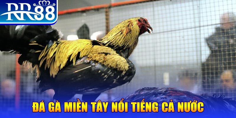 mcw858 xổ số đại phát
