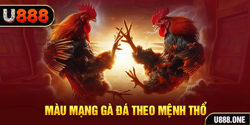 mcw858 đăng nhập sòng bạc hàng đầu