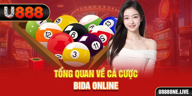 mcw858 kết quả xổ số kiến thiết miền bắc