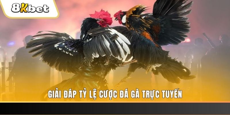 mcw858 ga choi cau thanh