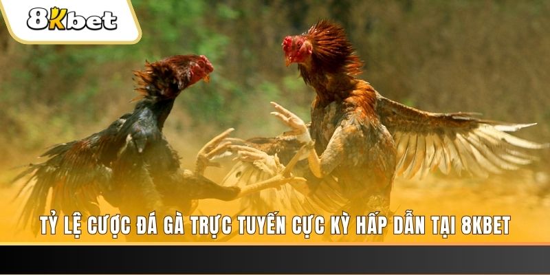 mcw858 đăng nhập mậu binh online