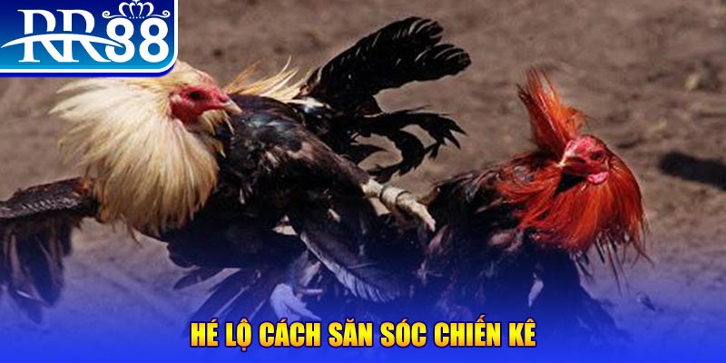mcw858 xổ số miền trung thứ tư