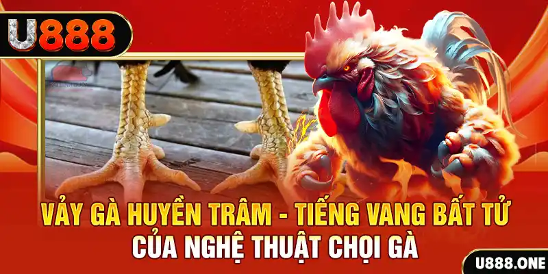mcw858 đăng nhập roulette trực tuyến