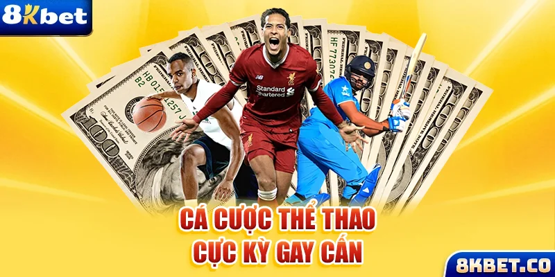 mcw858 xem đá gà trực tiếp